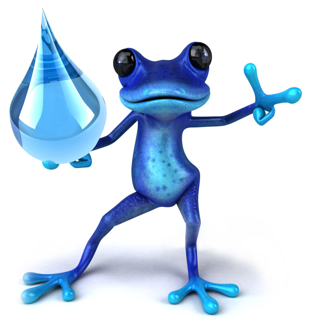 Blufrog P&g Van Frog
