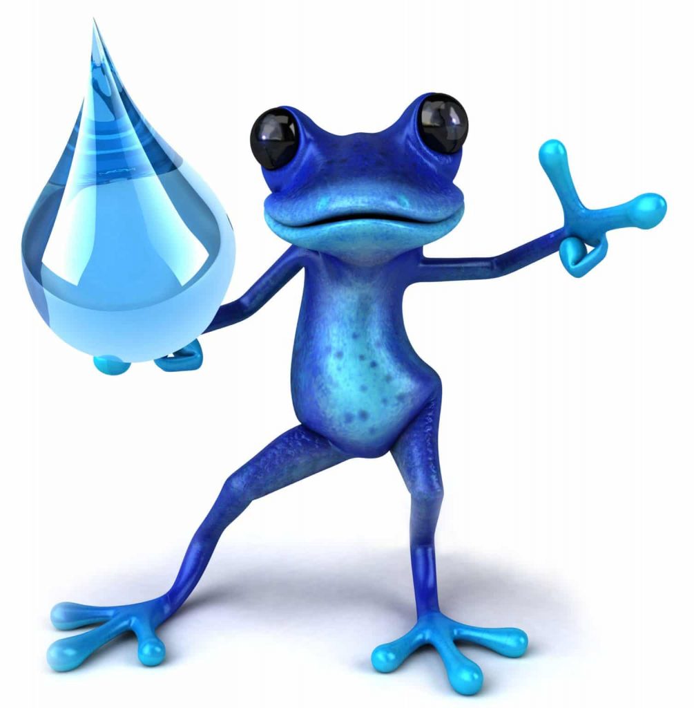 Blufrog Plumbing Services